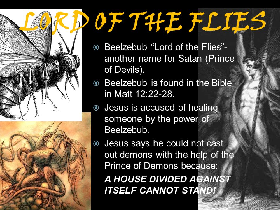 The element of the demons in william goldings the lord of the flies